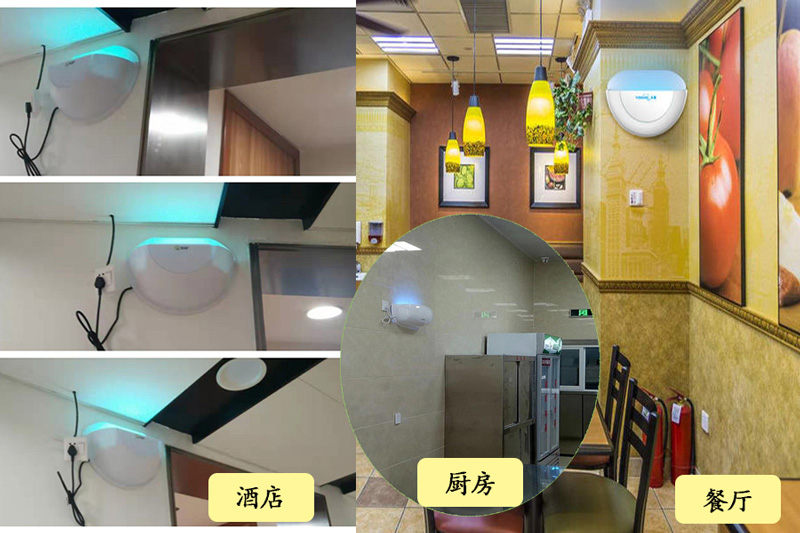 酒店室內滅蠅燈安裝效果案例