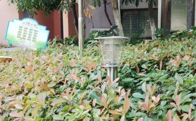 MZ05醫院戶(hù)外滅蚊燈