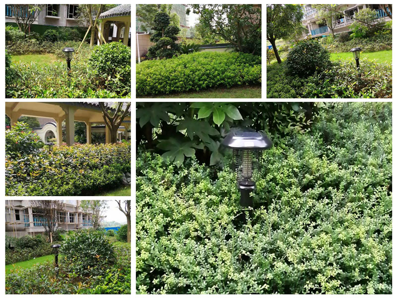 江西贛州物業(yè)安裝小區滅蚊燈案例