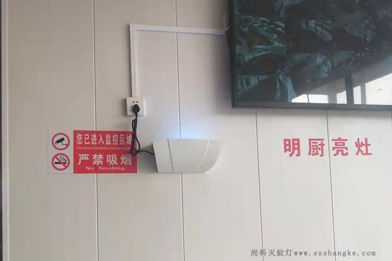 粘捕式滅蠅燈用于工廠(chǎng)食堂