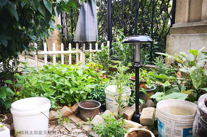 戶(hù)外滅蚊親測(cè)：滅蚊燈效果怎么樣？到底有用嗎