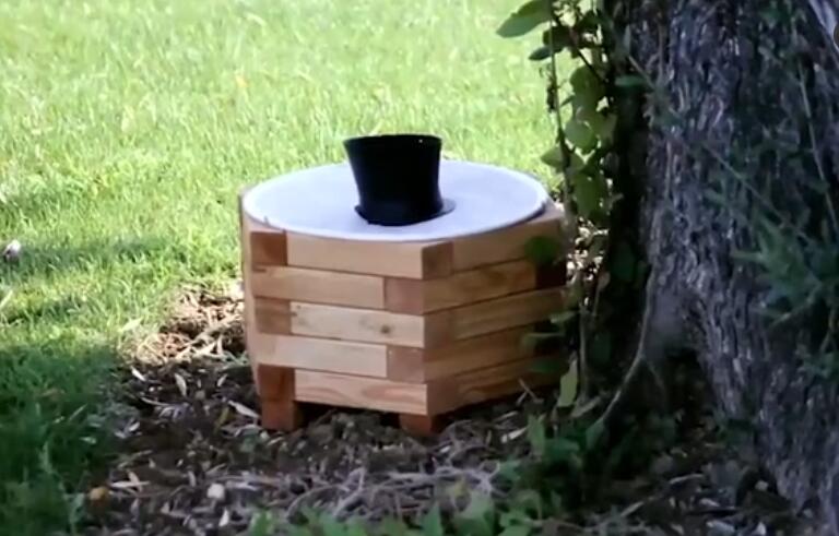 這種國(guó)外滅蚊器你沒(méi)見(jiàn)過(guò)，價(jià)格貴，效果差