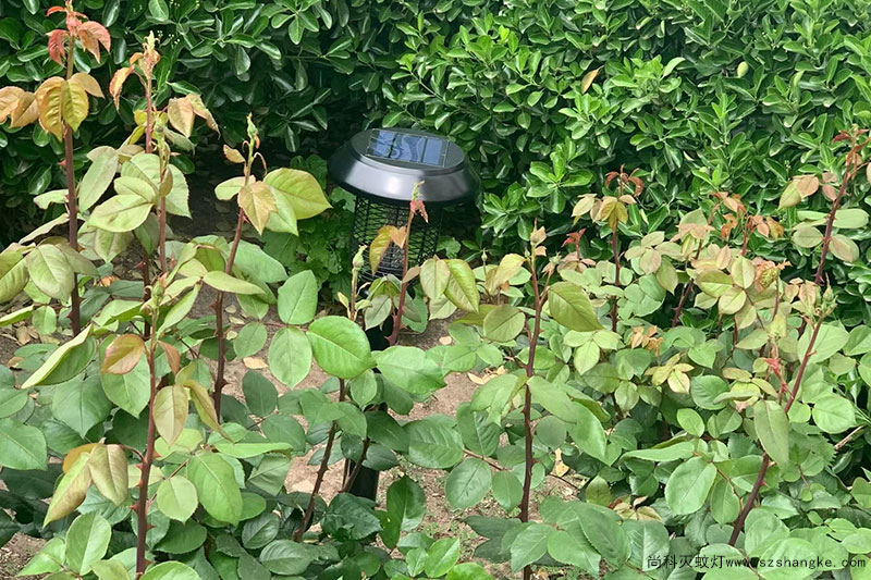 醫院安裝戶(hù)外太陽(yáng)能滅蚊燈